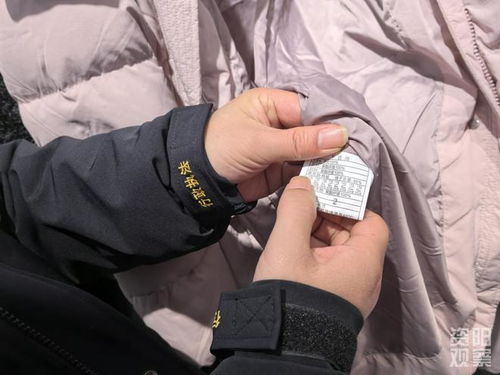 羽絨制品 以絲代絨 含絨量0 資陽(yáng)開展羽絨服市場(chǎng) 大體檢
