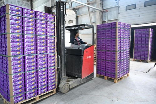 針對(duì)近期羽絨制品造假亂象,中羽協(xié)發(fā)聲并發(fā)布消費(fèi)提示