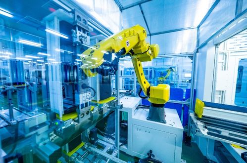 隆基嘉興工廠 一場既有面子更有里子的新質(zhì)生產(chǎn)力變革