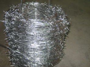 帶刺圍網(wǎng)報價 廠家