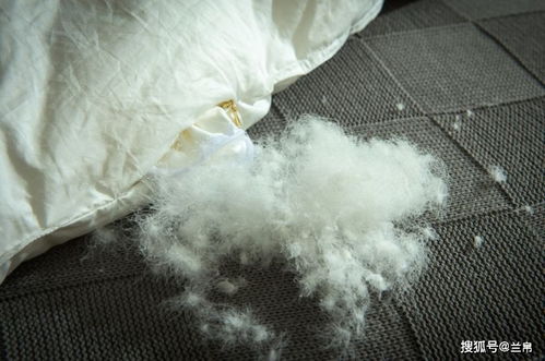 羽絨制品填充物真假難辨,六個(gè)生活小貼士教你選擇羽絨用品