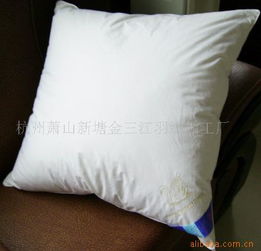 杭州蕭山新塘金三江羽絨加工廠(chǎng)枕芯產(chǎn)品系列