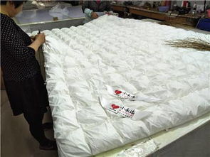 淮安市淮安區(qū)鑫豐羽絨制品廠(chǎng) 最新市場(chǎng)供求動(dòng)態(tài)與產(chǎn)業(yè)前景分析